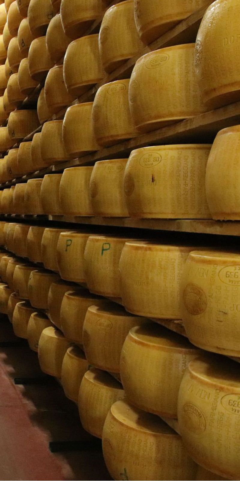 Parmesan Preis Parmesan Rad online Shop