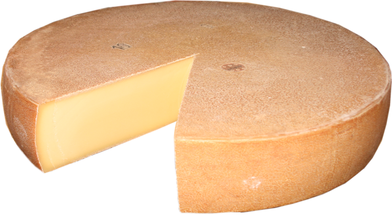Käse Schlossberger jung ca. 6 Monate güstig online bestellen und kaufen Online Käse kaufen Schlossberger jung ca. 6 Monate jetzt bestellen