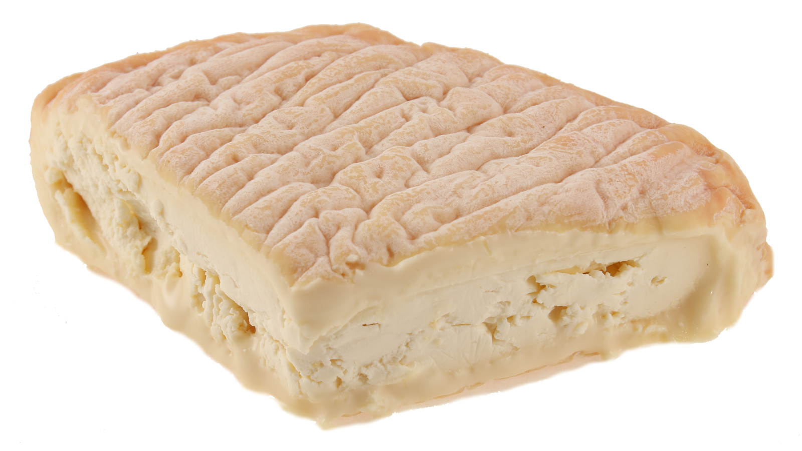 Online Käse kaufen Epoisses AOP jetzt bestellen