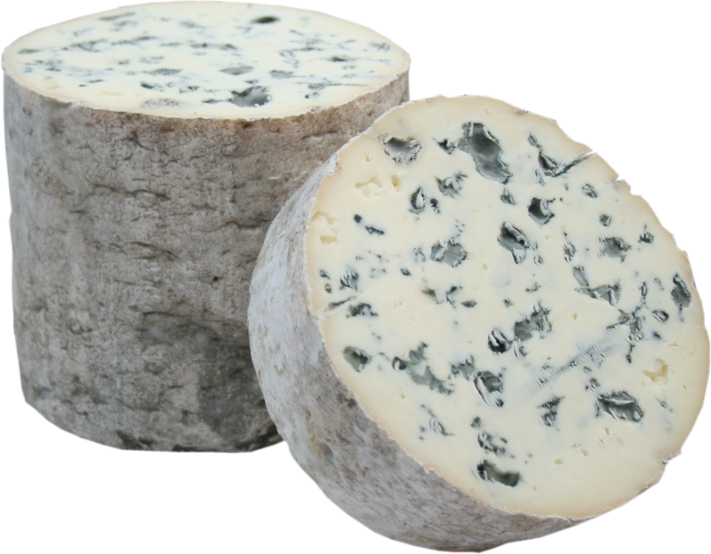 Käse Fourme d´Ambert AOP güstig online bestellen und kaufen Online Käse kaufen Fourme d´Ambert AOP jetzt bestellen